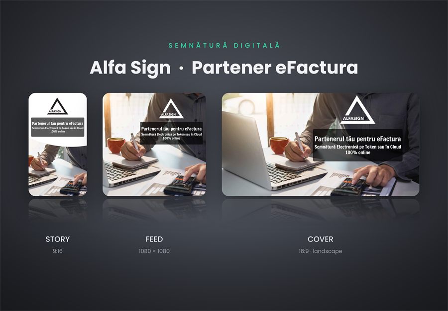 Design and branding for Alfa Sign