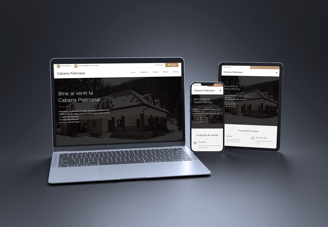 VMWeb project: Cabana Pietroasa